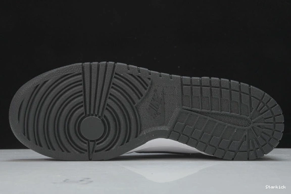 Retro (2021)   DD1503-101 Nike Low Dunk Panda White Black 0308